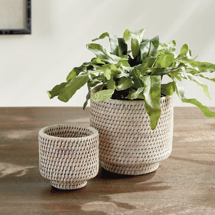 Whitewash rattan cachepot set on a stone table, with green fern leaves spilling from the larger pot - Coastal Transitional