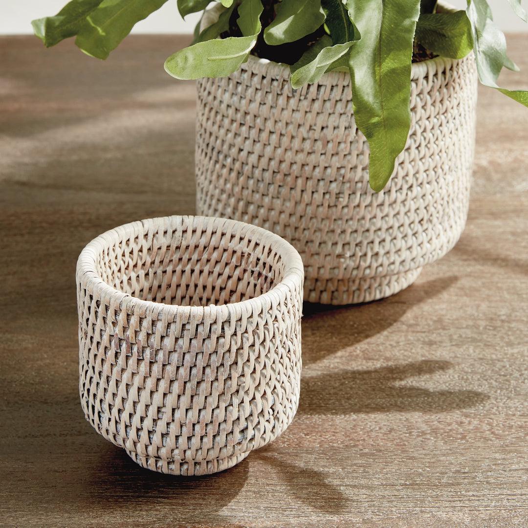 Whitewash rattan cachepots close-up, with an empty pot in front and fern leaves above the rear pot - Coastal Transitional