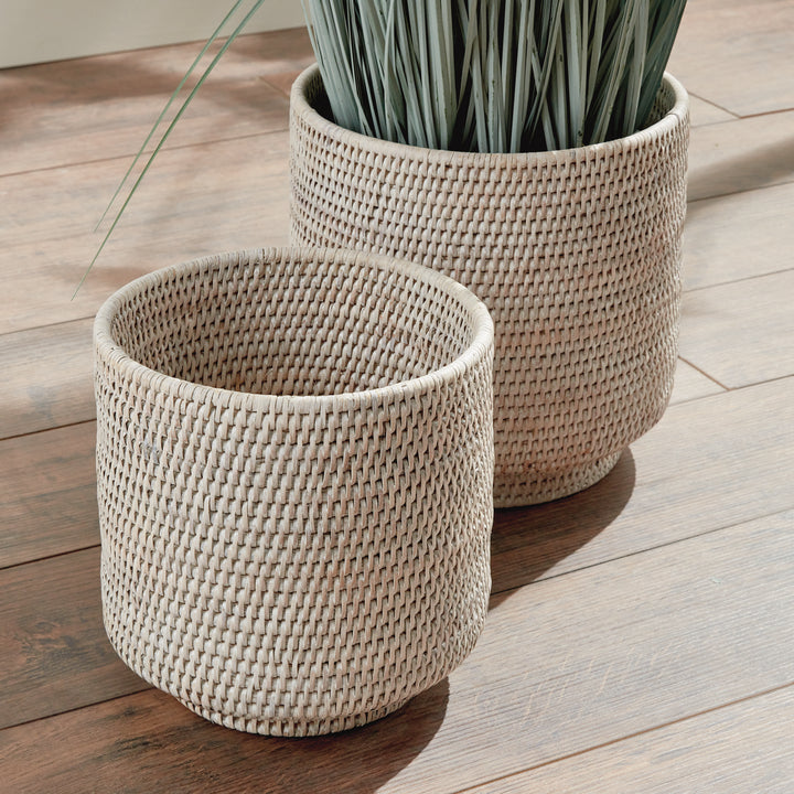 Whitewash rattan cachepots close-up on a wooden floor, showing woven sides and greenery in a large pot - Coastal Transitional