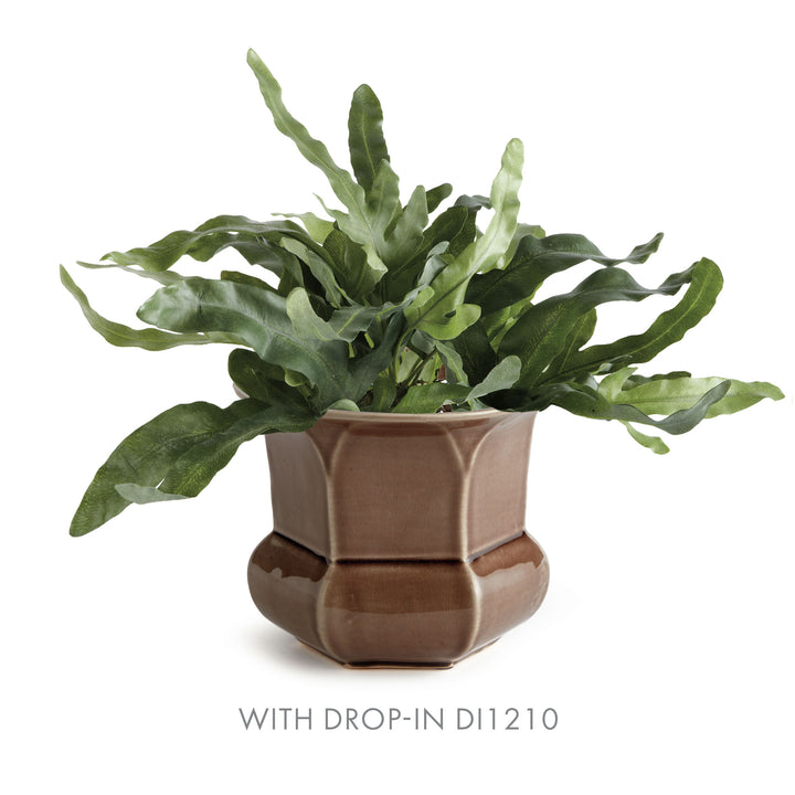 Brown faceted ceramic planter paired with an echeveria fern drop-in, showing green leaves above its flared rim, Traditional