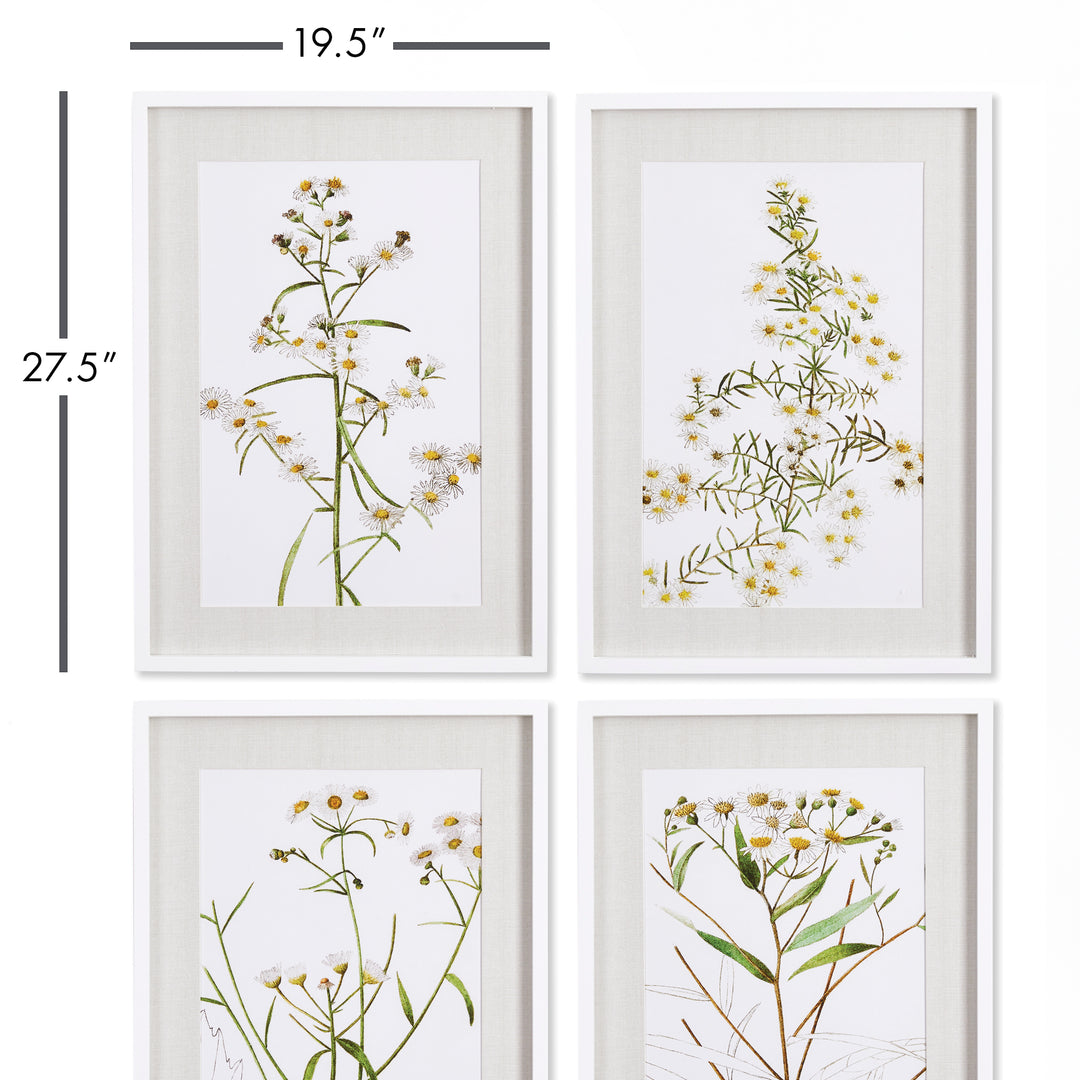 Each with their own distinct composition, this set of four Daisy Prints makes a sweet accent for your wall. The ivory linen-like mats and simple white frames make them neutral enough for any casual space.