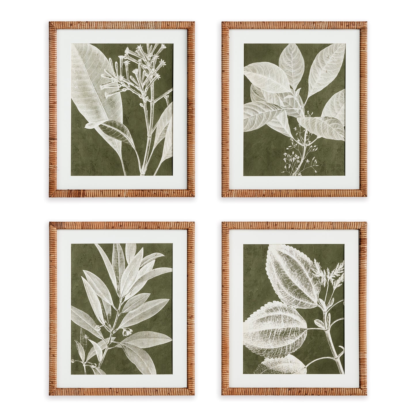 In a rich olive tone, these assorted stem prints are a play on positive and negative space. Bold in scale, with a contemporary composition, this set of prints is finished off with real mats and rattan wrapped frames.