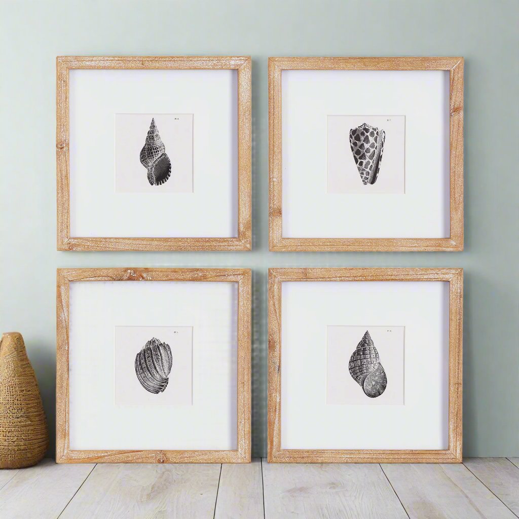 Capture the natural elegance of the seaside with Seashell Coastal Wall Prints, Set Of 4. These petite prints, framed in natural wood, beautifully showcase the detailed beauty of nature in black and white. A perfect addition to any coastal decor, these prints offer a stunning display of nature's intricacies.