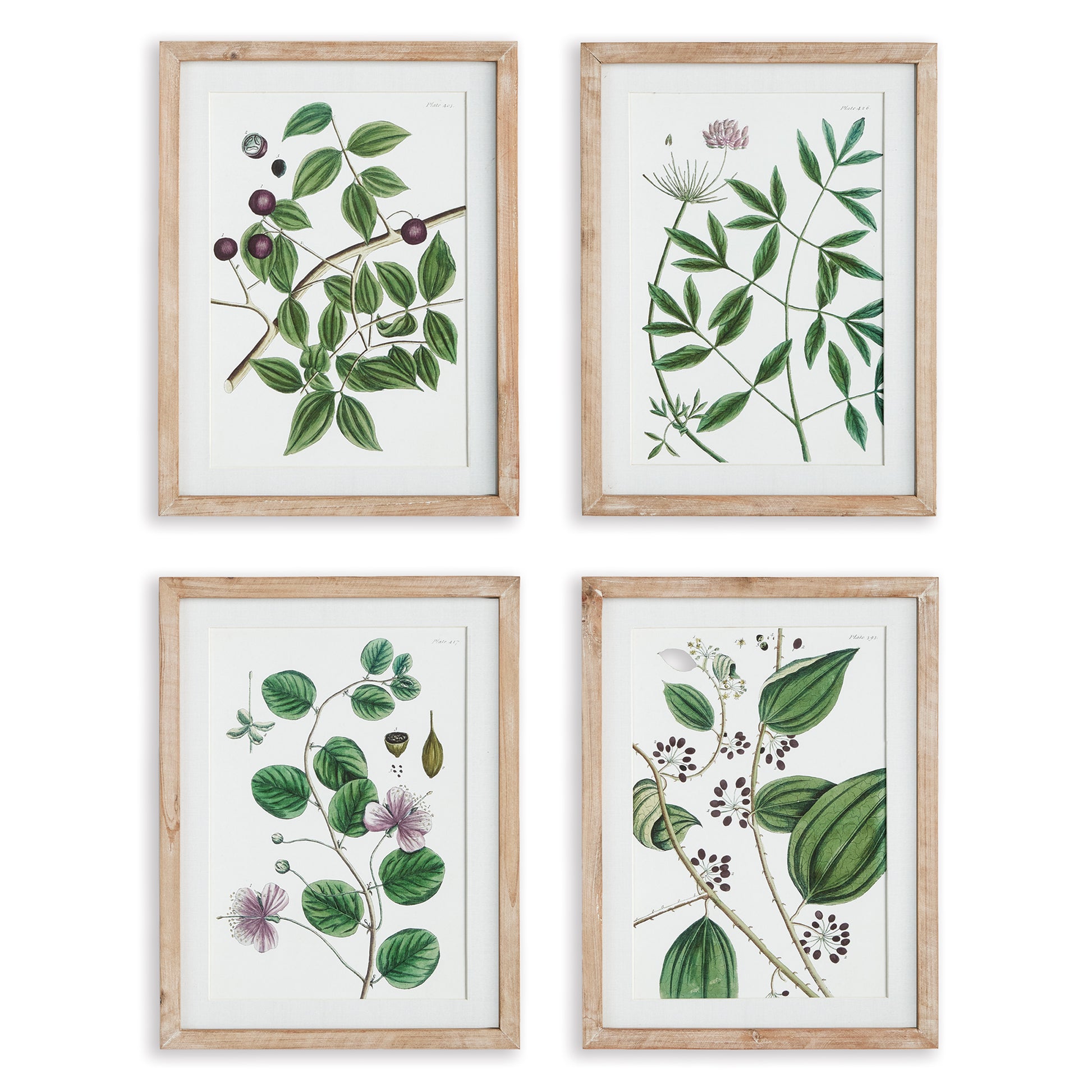 A selection of leaves, blooms and berries, these verdant botanical prints are perfect for powder room or bedroom. In soothing neutral tones, they are a classic set for the well-appointed space.