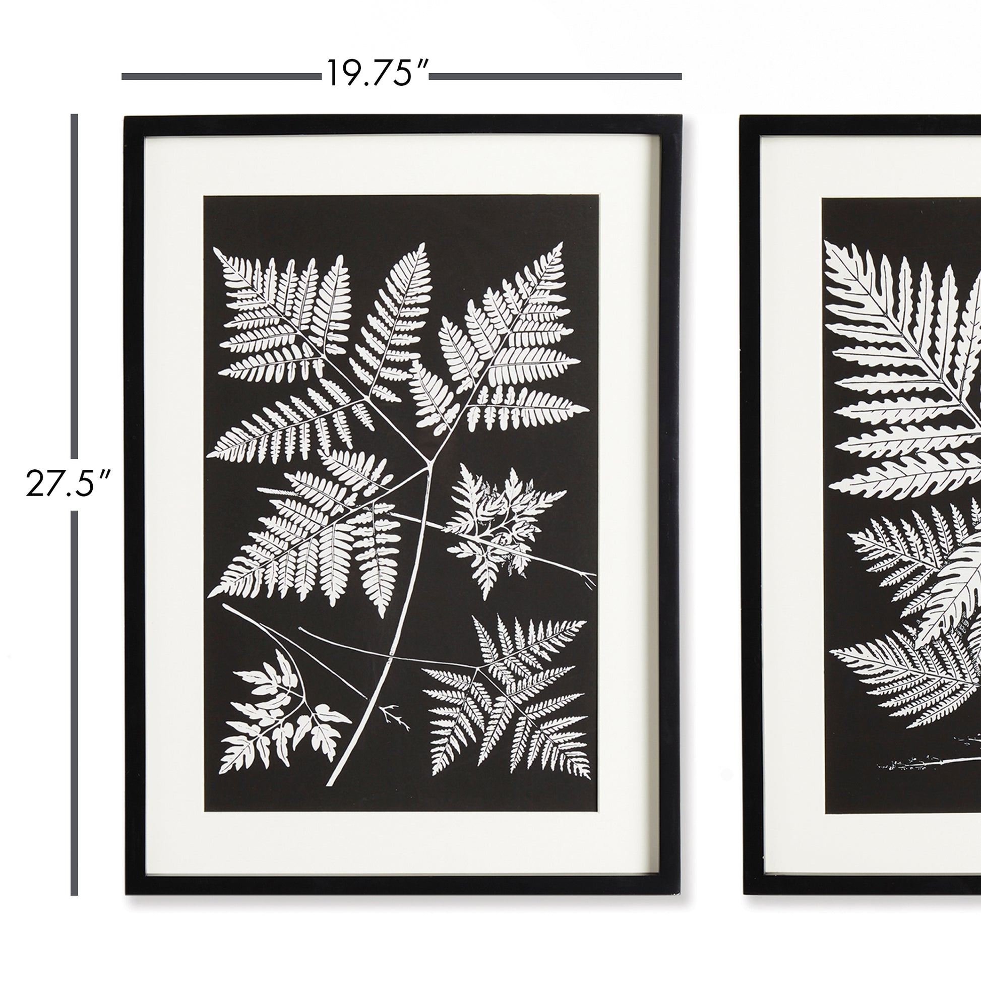 Enhance your workspace with these stunning fern frond prints. The bold, masculine aesthetic and monochromatic composition play on positive and negative space, making a statement in your office or study. Real mats and coordinating black frames add a sophisticated touch, providing the perfect balance for a professional and polished look.