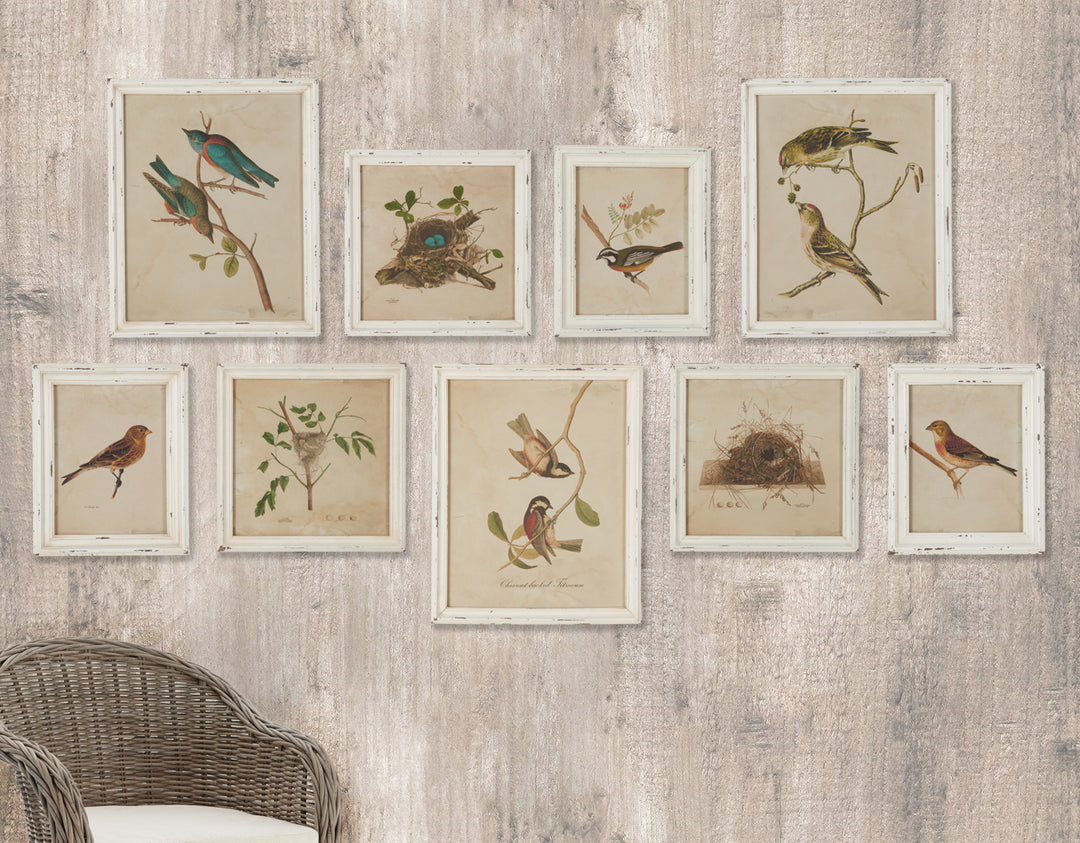 The varying sizes of this gallery style set creates instant high design for your wall. With bold colors and intricate detail, each aviary study is more charming than the next.