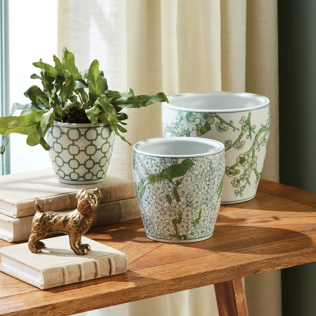 Green and white ceramic chinoiserie planters styled on tabletop with plants, decorative indoor planter set with pattern – Chinoiserie