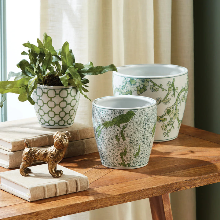 Green and white ceramic chinoiserie planters styled on tabletop with plants, decorative indoor planter set with pattern – Chinoiserie