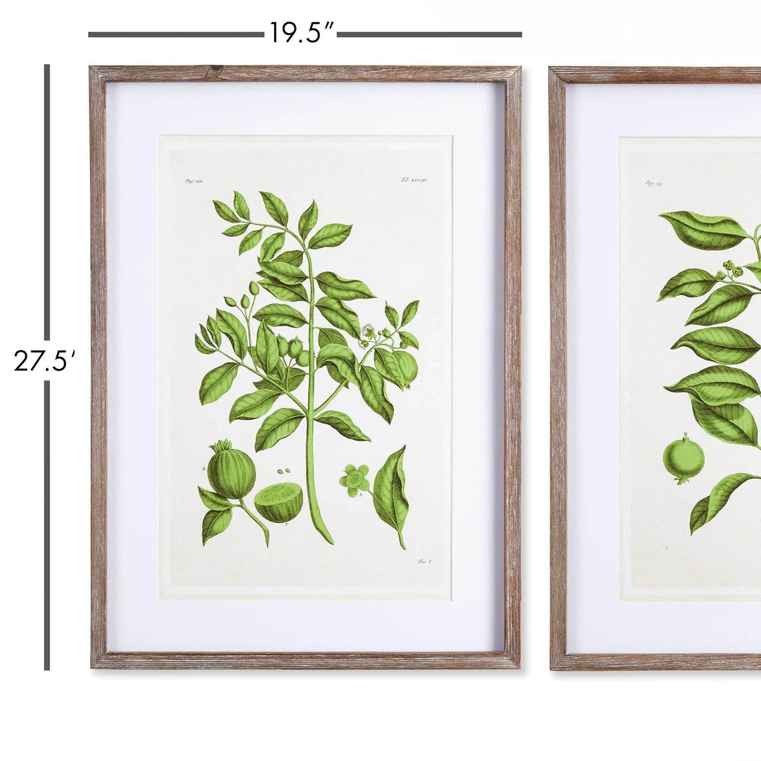Detailed close-up of one guava botanical leaf print in a rustic wood frame
