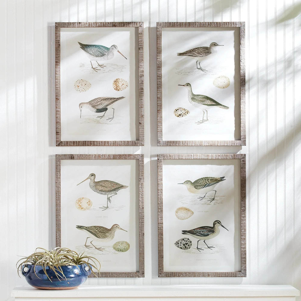 Coastal Heritage Bird Wall Art - Set of 4 Prints – Delamere Design