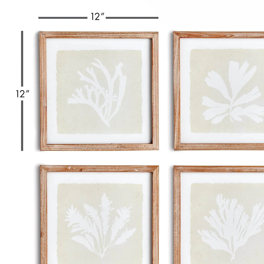 Size guide image showing 12"x12" dimensions for framed seaweed prints, displayed in a grid – Coastal Cottage


