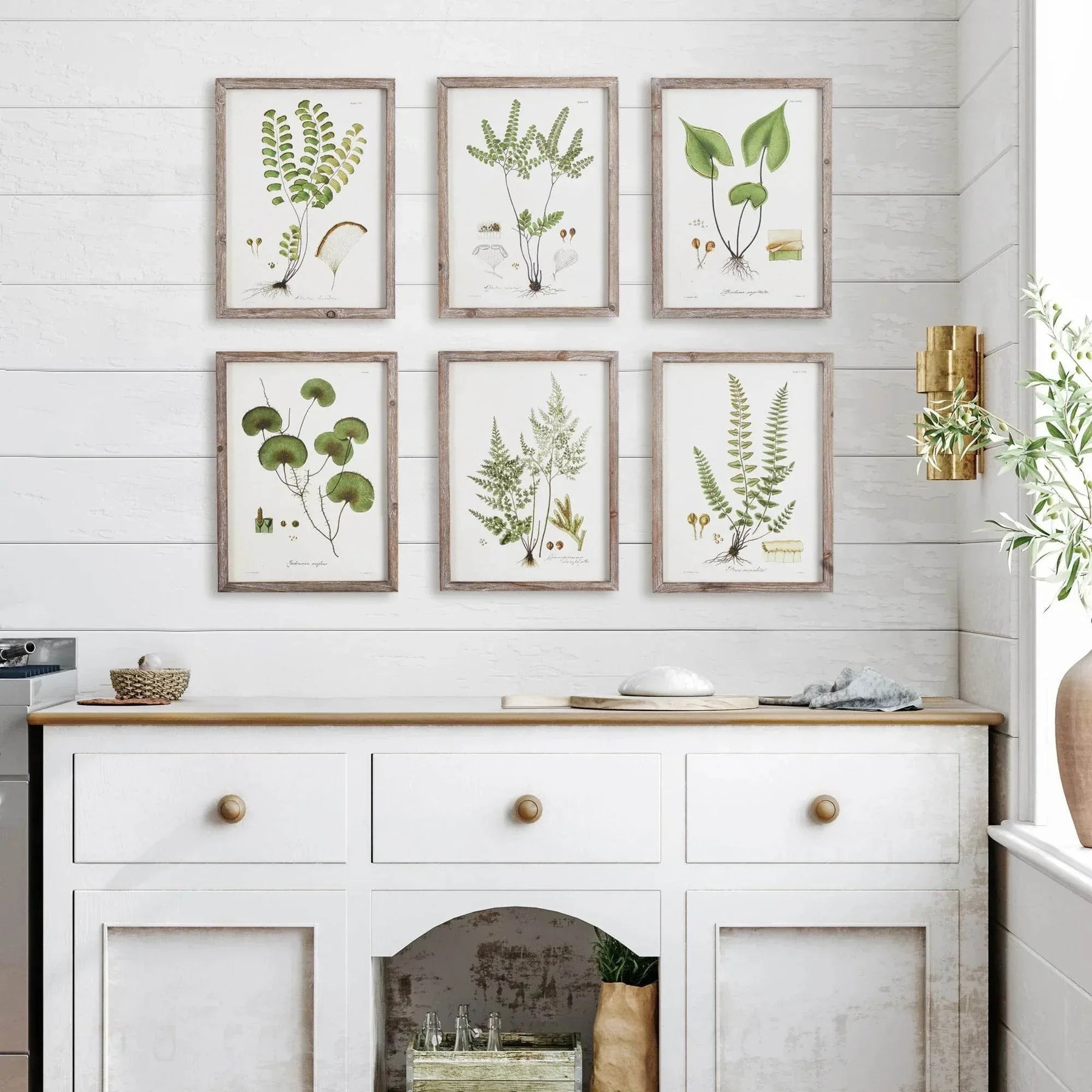 Vintage Cottagecore Wall Art Set - Fern Botanical