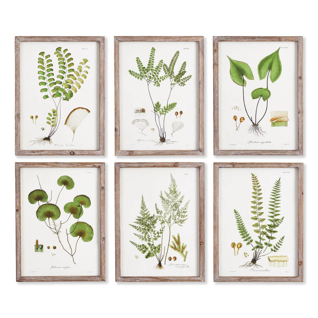 Six-piece cottagecore botanical wall art set with natural fir frames, flat lay format