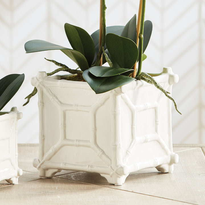 Large white bamboo-detail ceramic cachepot styled with orchid leaves and stems, pictured on a pale surface | Traditional