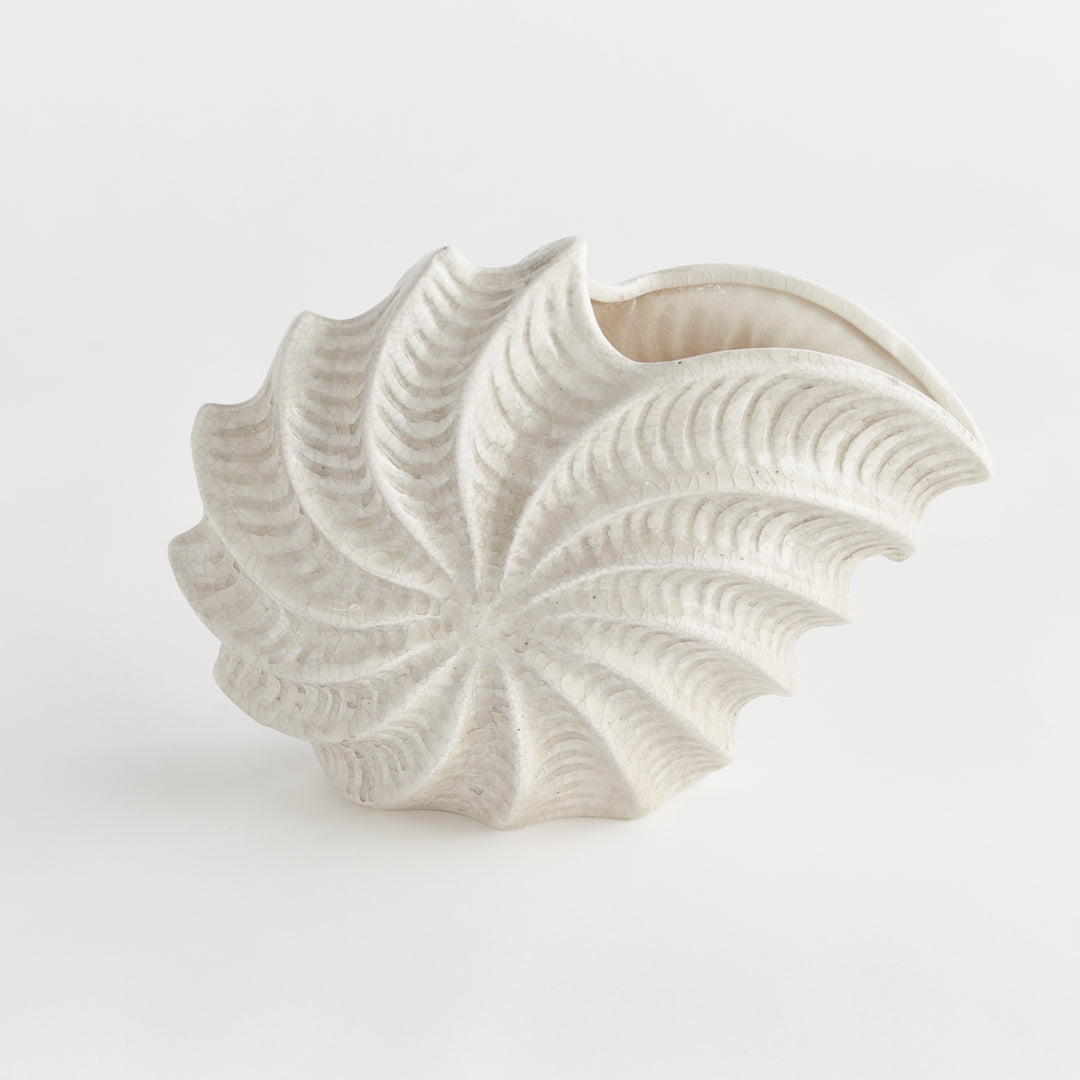 Angled view of cream shell vase showing its layered ridges, open curved mouth and sculptural spiral profile in clay. Coastal
