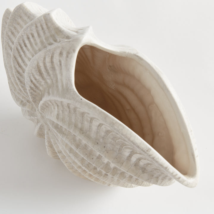 Close view of a cream clay shell vase showing its open interior, curved mouth and ridged exterior with crackle glaze. Coastal