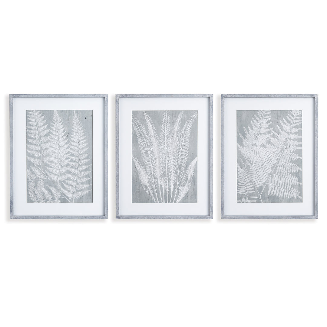 Fern Frond Wall Prints, Set Of 3