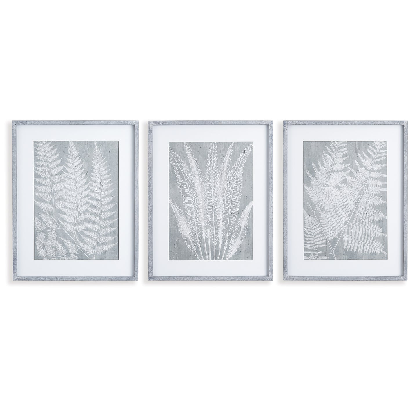 In a soothing gray tone, these fern frond prints are a play on positive and negative space. Bold in scale, with a feminine aesthetic, this set of prints is finished off with real mats and coordinating gray frames.