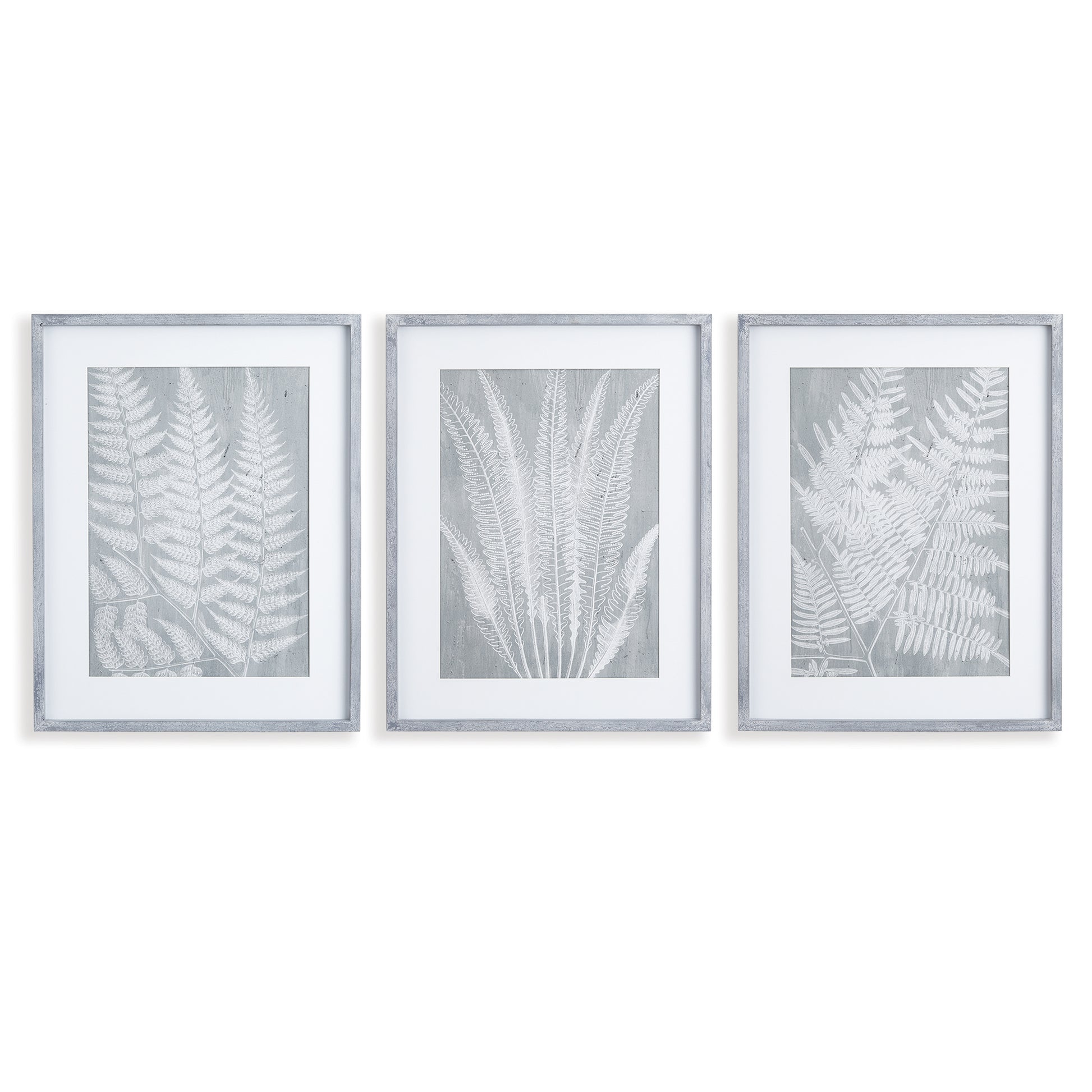 In a soothing gray tone, these fern frond prints are a play on positive and negative space. Bold in scale, with a feminine aesthetic, this set of prints is finished off with real mats and coordinating gray frames.