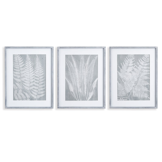 Fern Frond Wall Prints, Set Of 3