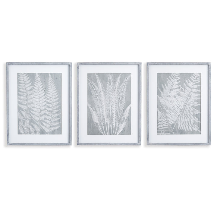 Fern Frond Wall Prints, Set Of 3