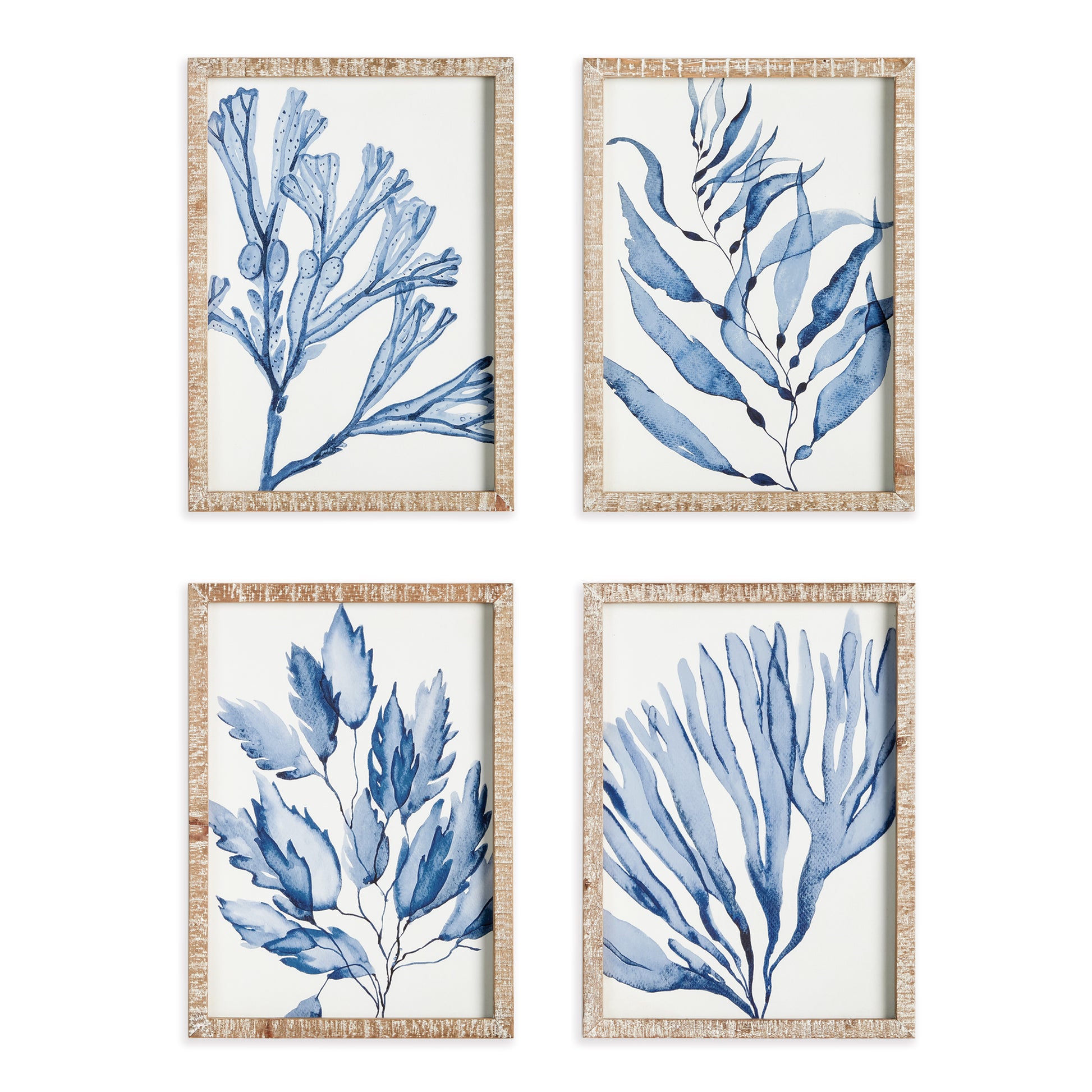 These coral prints showcase a sophisticated and high-quality design, perfect for elevating any coastal-inspired space. The delicate watercolor design and distressed whitewashed frames add to the luxurious elegance of these wall prints. Incorporate a refined and chic atmosphere with these stunning coral prints.