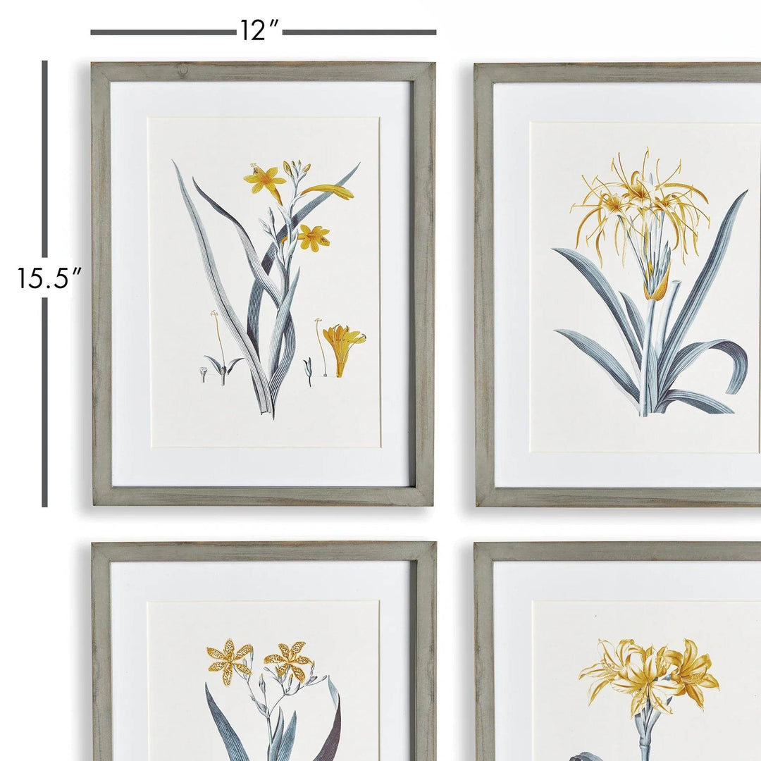 Framed yellow daffodil print set with 12 by 15.5 inch dimensions displayed in vertical layout – Modern Cottage.
