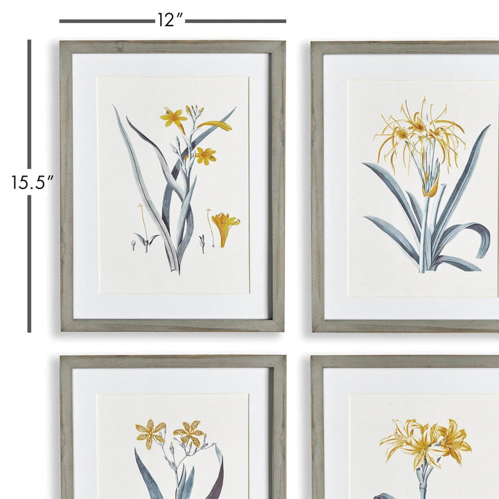 Framed yellow daffodil print set with 12 by 15.5 inch dimensions displayed in vertical layout – Modern Cottage.