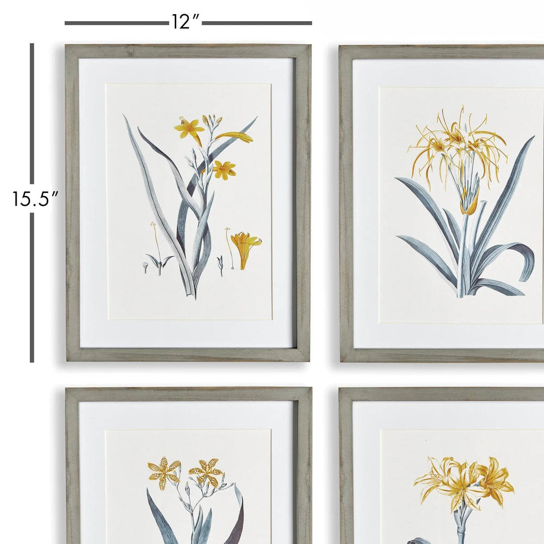 Framed yellow daffodil print set with 12 by 15.5 inch dimensions displayed in vertical layout – Modern Cottage.