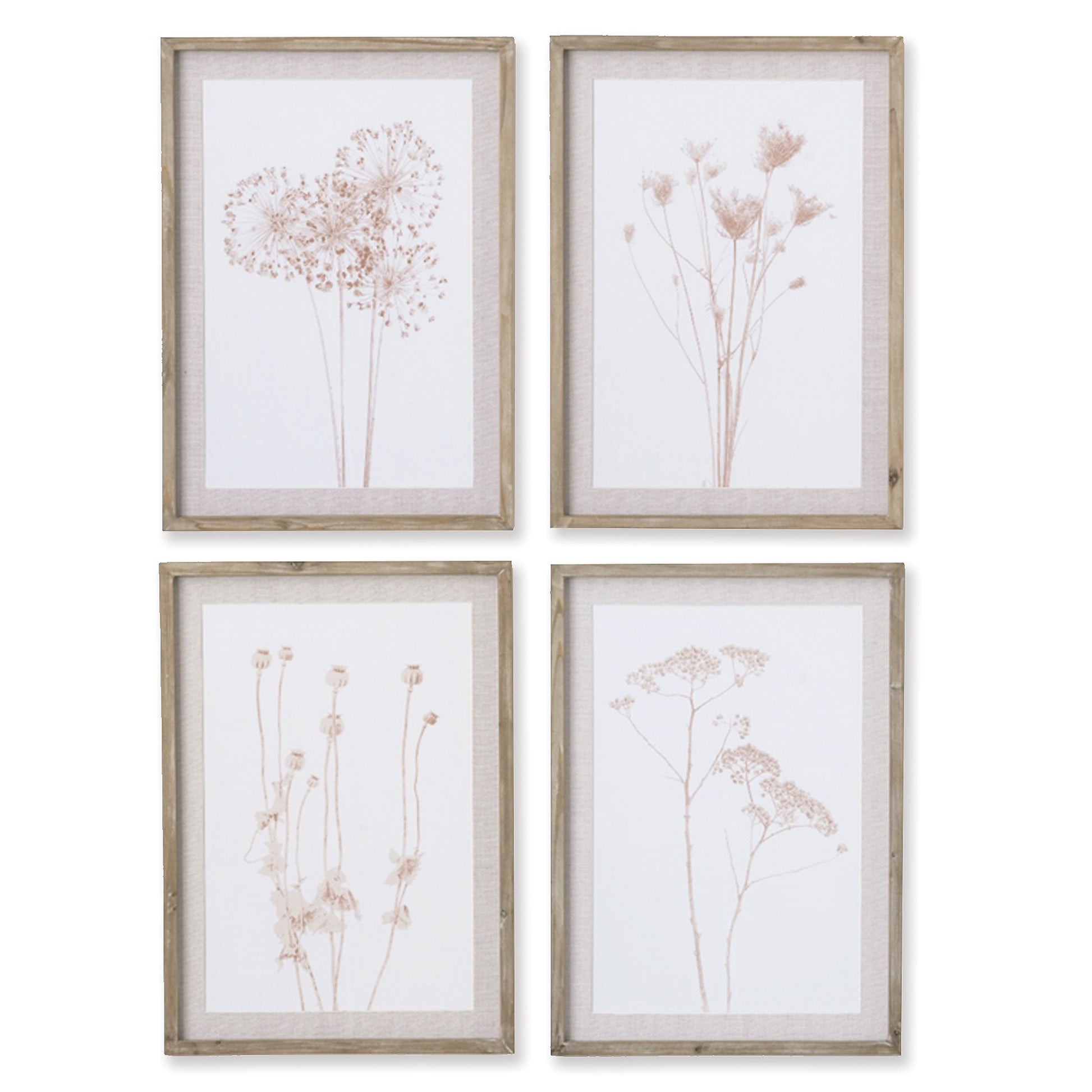 In a subtle sepia tone, this set of 4 assorted botanicals are light and airy. Finished off with a neutral mat and a natural pine wood frame, it makes a lovely accent for foyer, living room or bedroom.