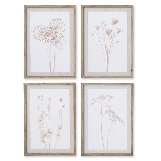 In a subtle sepia tone, this set of 4 assorted botanicals are light and airy. Finished off with a neutral mat and a natural pine wood frame, it makes a lovely accent for foyer, living room or bedroom.