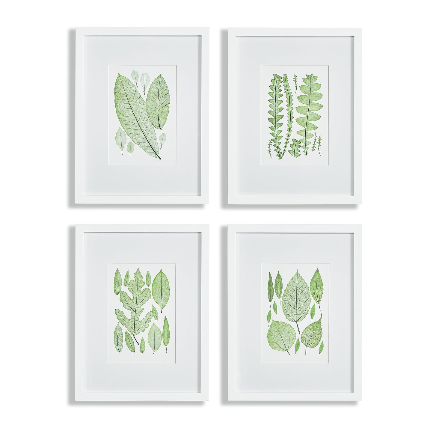 This set of four green leaf prints features a woodcut-style design and white mat, perfect for adding a touch of nature and freshness to any room. The simple frame adds a classic touch, making these prints a charming addition to a powder room or study.