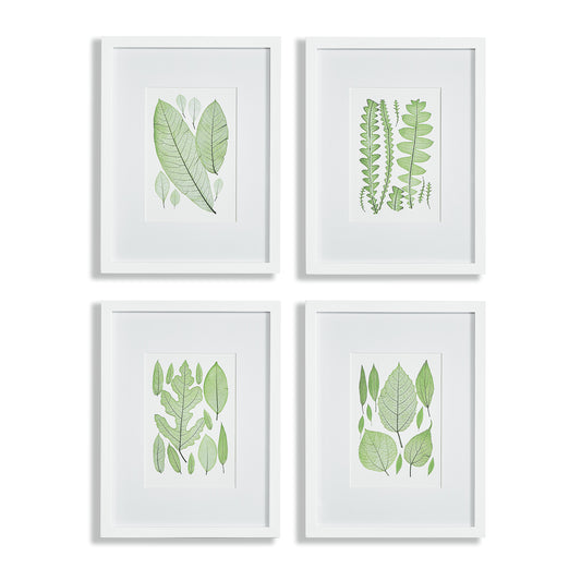 Assorted Green Leaf Prints, Set Of 4