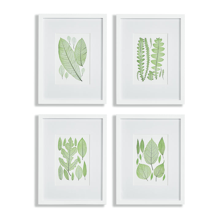 Assorted Green Leaf Prints, Set Of 4