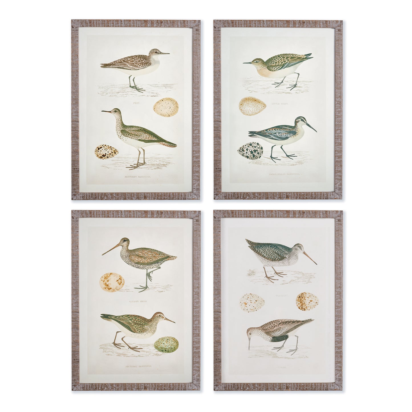 This set of classic coastal birds and their eggs highlights the natural beauty of the coast. An excellent option for those with a neutral color palette and coastal aesthetic. Set the ambiance of your space with these timeless coastal bird prints. Great for those who admire the pure, understated loveliness of nature. Ideal for enhancing neutral color schemes and coastal-inspired home decor.