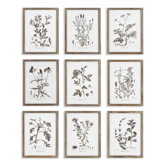 These traditional rustic foliage prints are a warm, dark sepia tone contrasted with a light wood frame. Finished off with real mats, this set of nine is neutral in tone and a stunning choice for home office or study.