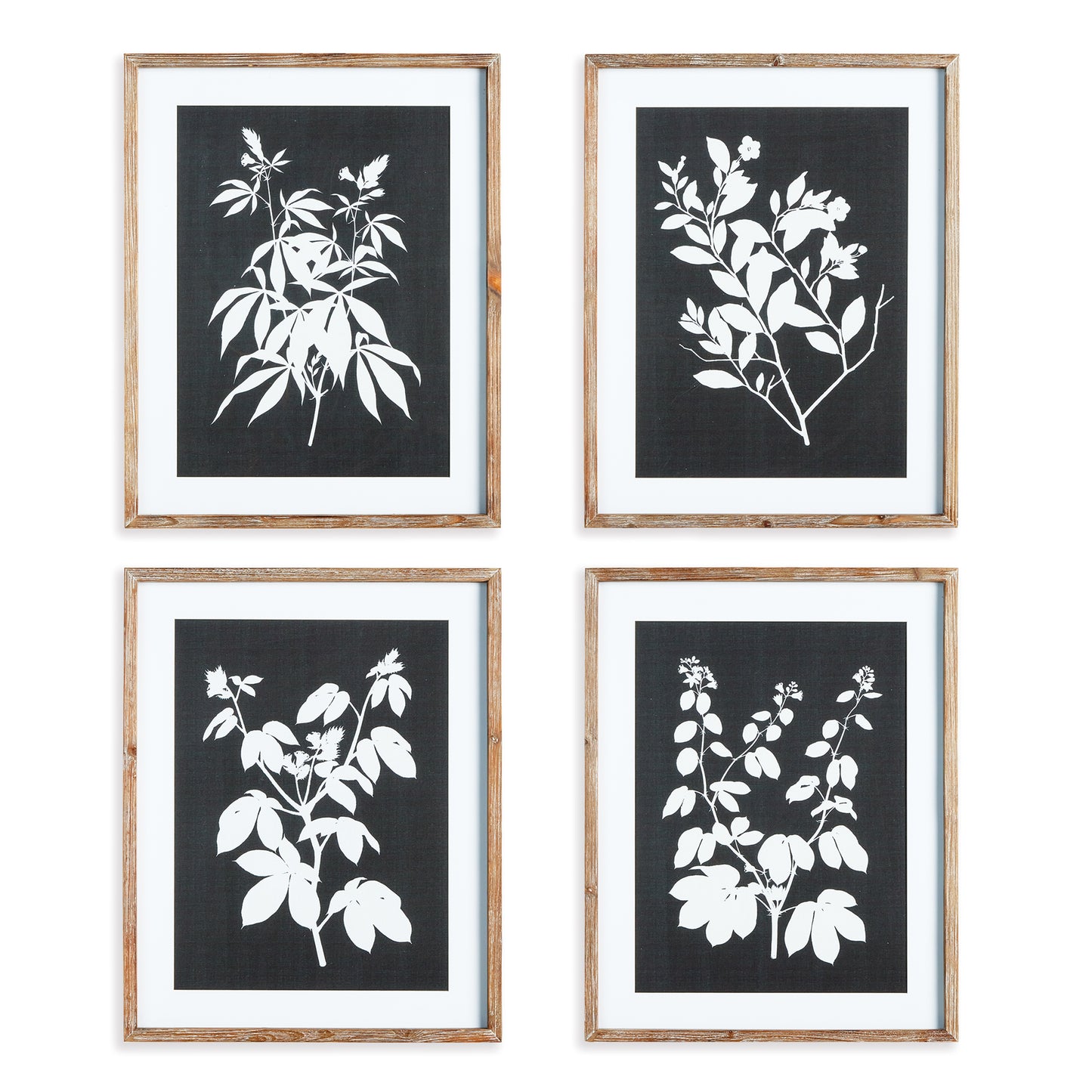 In a monochromatic composition, these botanical prints are a play on positive and negative space. Bold in scale, with a masculine aesthetic, this set of prints is finished off with real mats and coordinating grey washed frames. Perfect for office or study.