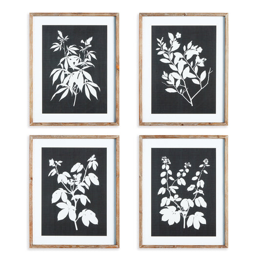 In a monochromatic composition, these botanical prints are a play on positive and negative space. Bold in scale, with a masculine aesthetic, this set of prints is finished off with real mats and coordinating grey washed frames. Perfect for office or study.