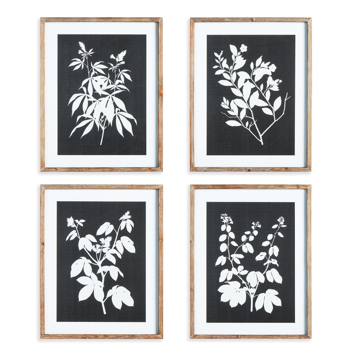 Monochrome Botanical Wall Prints, Set Of 4