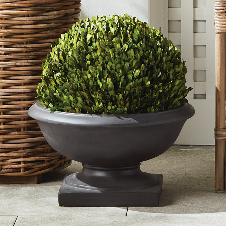 Antique black footed bowl planter with a round greenery display, placed beside woven basket in a styled setting. Transitional