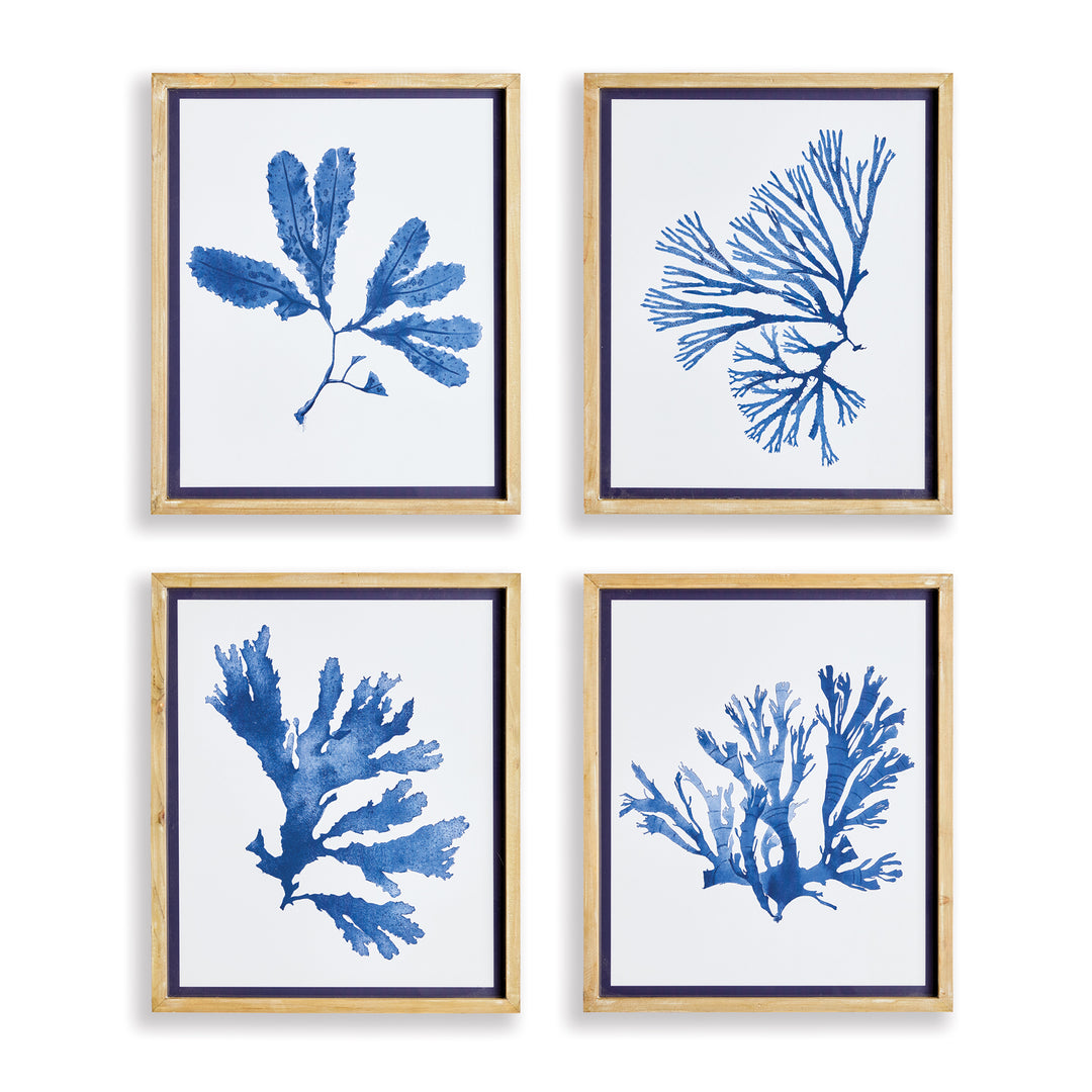 Coastal Seaweed Prints St/4