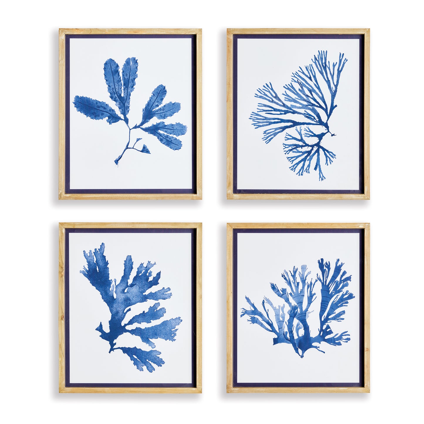 These signature upscale coastal chic prints showcase both elegance and scale. With a soft, watercolor design and whitewashed natural wood frames with indigo trim, these monochromatic seaweed prints add sophistication to any room in your home.