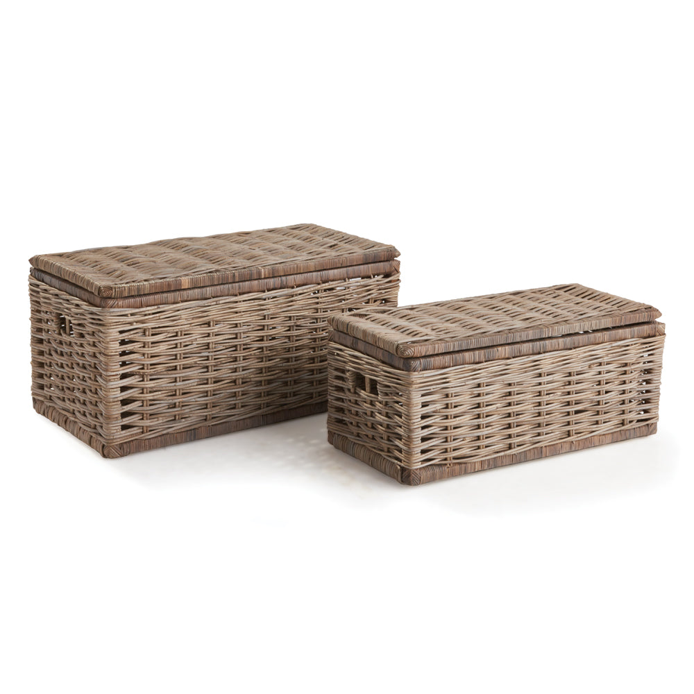 Sabad Dove Gray Rattan Storage Trunks, Set of 2