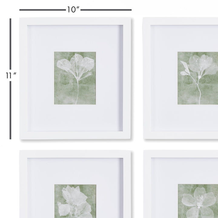 The beauty of art is seeing things in a different way. This petite floral set is no exception. Every detail comes through brilliantly in these translucent x-ray inspired floral prints.