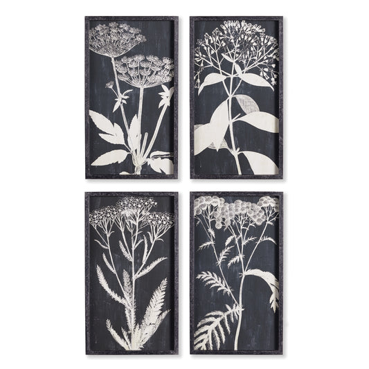 These striking monochrome prints are an unexpected choice for the modern home. An updated take on the traditional botanical, and playful use of positive and negative space.