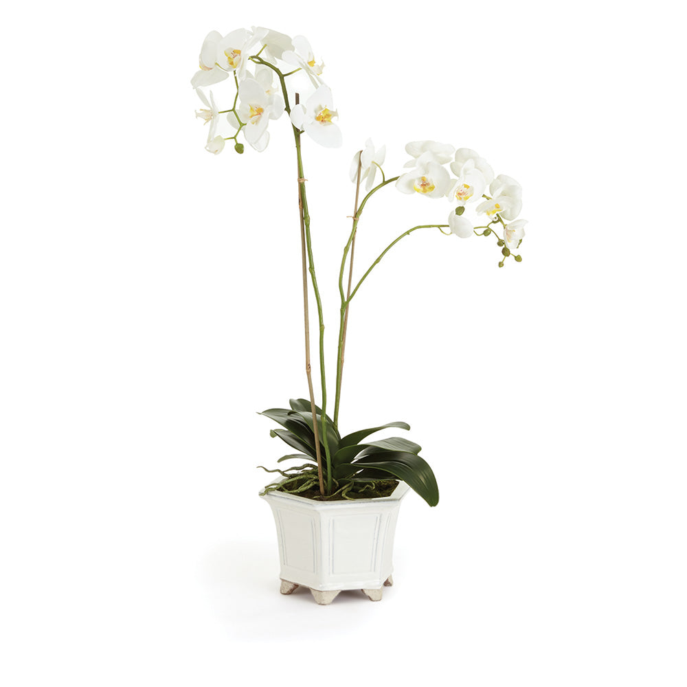 Discover luxury and elegance with the Barclay Butera White Orchid In Ceramic Planter Pot 31". This stunning permanent white orchid is expertly arranged by renowned designer Barclay Butera and comes in a perfect vessel, adding an effortless high-end touch to any space. Skip the hassle of styling and enjoy the beauty of this artificial floral arrangement, crafted with precision and expertise