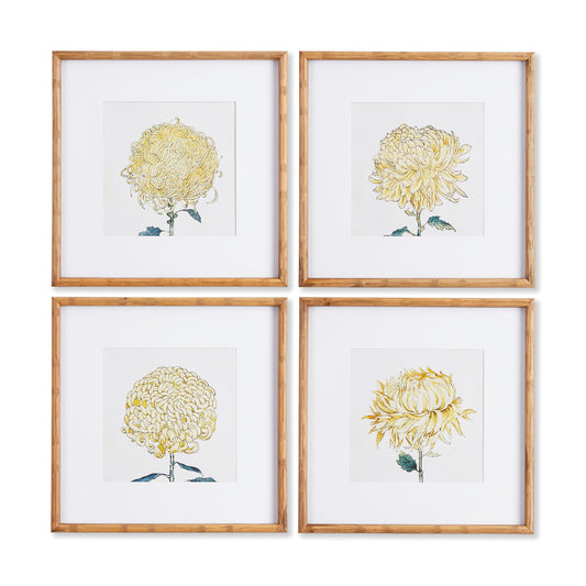 Ever-changing, the stages in the life of a chrysanthemum are captured in these captivating illustrations. Feminine in nature, they add a touch of soft yellow to powder room, kitchen or study.