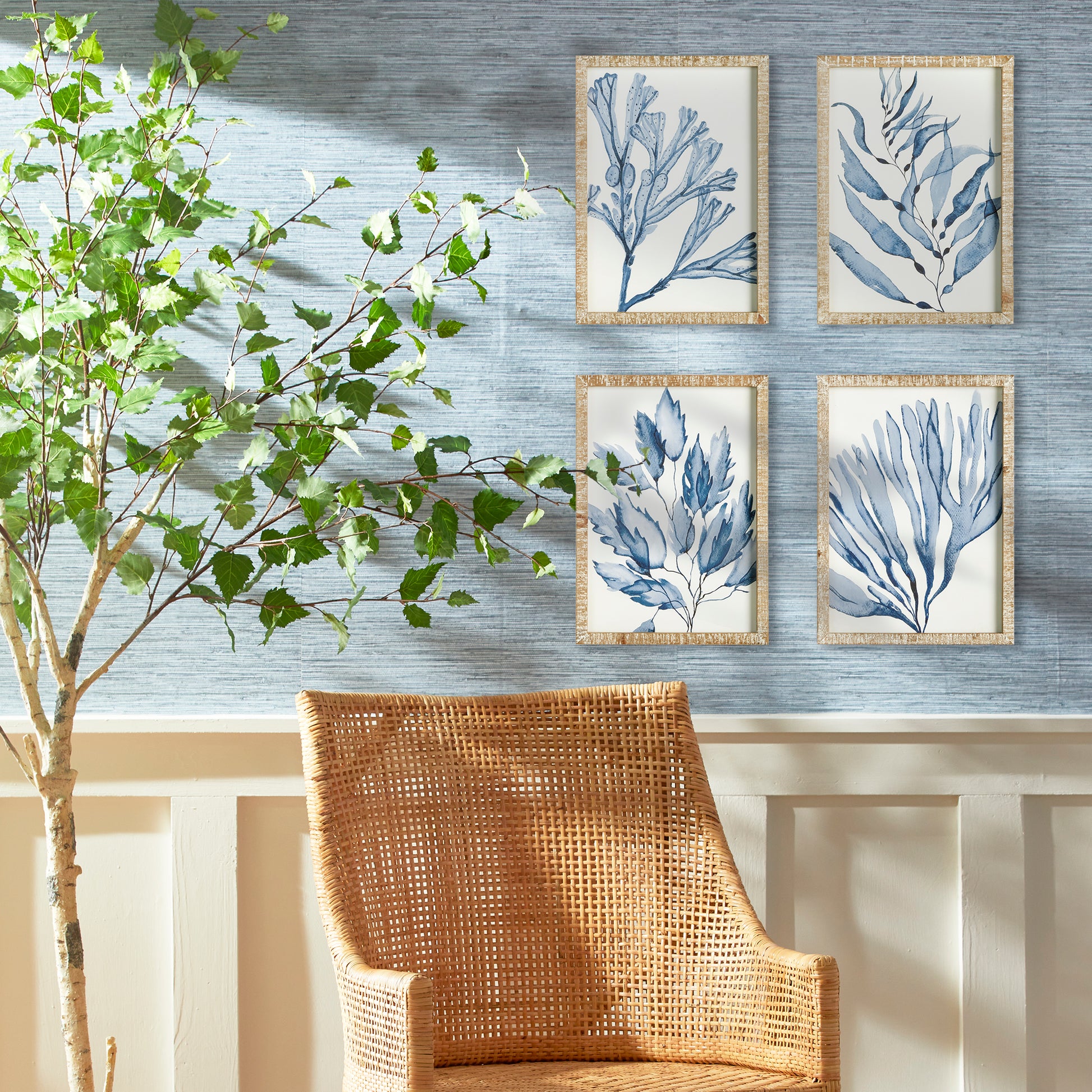 These coral prints showcase a sophisticated and high-quality design, perfect for elevating any coastal-inspired space. The delicate watercolor design and distressed whitewashed frames add to the luxurious elegance of these wall prints. Incorporate a refined and chic atmosphere with these stunning coral prints.