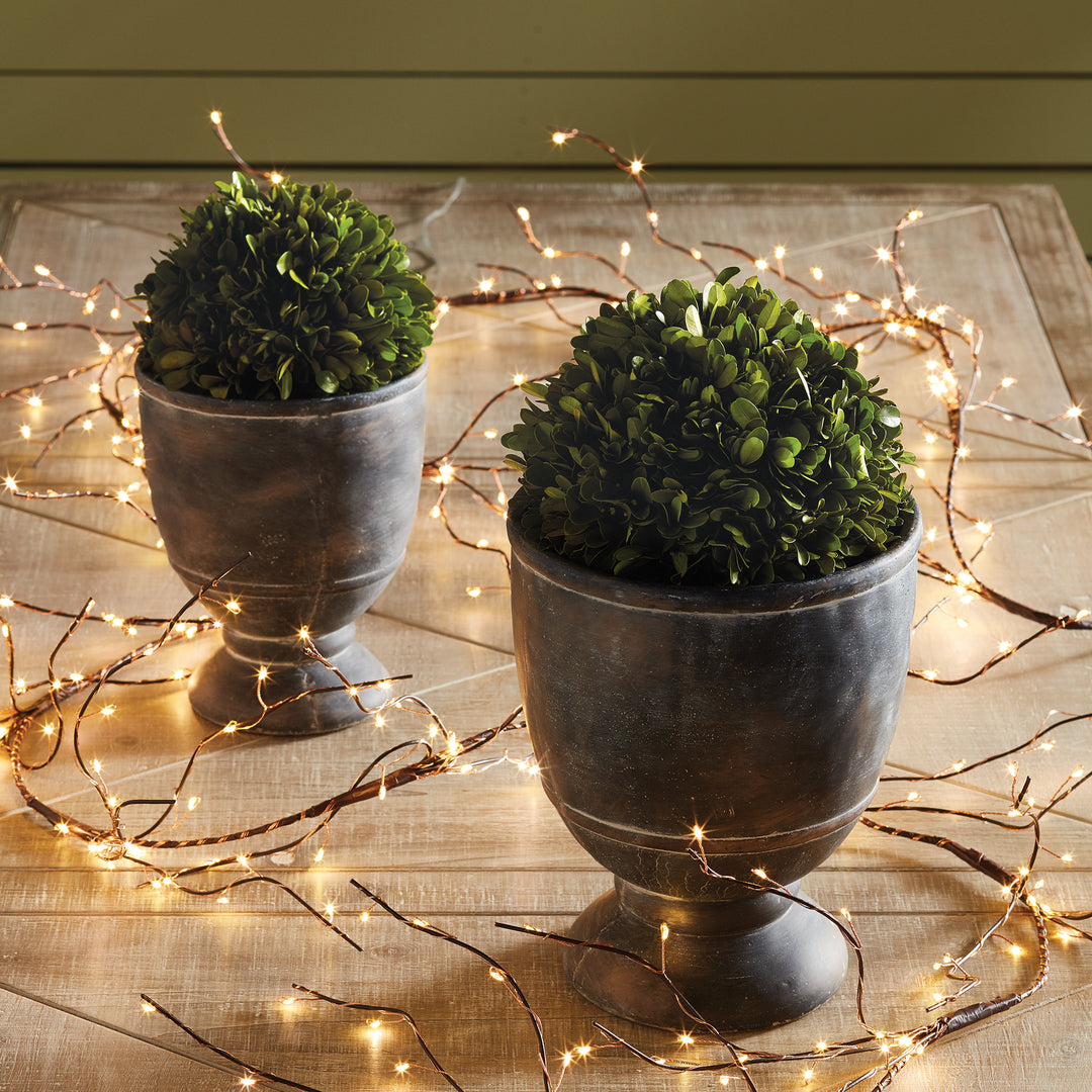 Preserved green boxwood balls in dark footed pots on a wooden table, surrounded by small decorative lights - Transitional