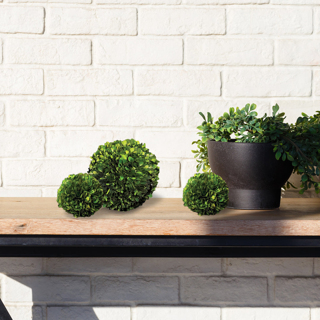 Preserved green boxwood balls arranged on a rustic wooden shelf beside a dark pot and against white brickwork - Transitional